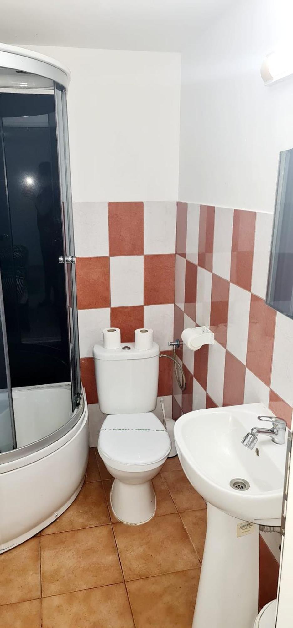 Pensiunea Red Rose Apartments Timişoara Exterior foto